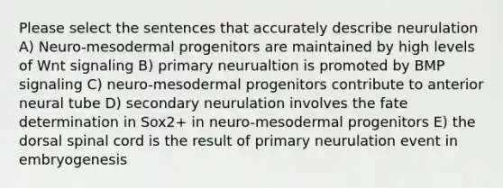 Please select the sentences that accurately describe neurulation A) Neuro-mesodermal progenitors are maintained by high levels of Wnt signaling B) primary neurualtion is promoted by BMP signaling C) neuro-mesodermal progenitors contribute to anterior neural tube D) secondary neurulation involves the fate determination in Sox2+ in neuro-mesodermal progenitors E) the dorsal spinal cord is the result of primary neurulation event in embryogenesis