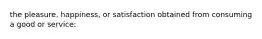 the pleasure, happiness, or satisfaction obtained from consuming a good or service: