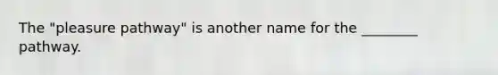 The "pleasure pathway" is another name for the ________ pathway.