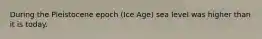 During the Pleistocene epoch (Ice Age) sea level was higher than it is today.