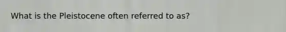 What is the Pleistocene often referred to as?