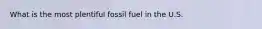 What is the most plentiful fossil fuel in the U.S.
