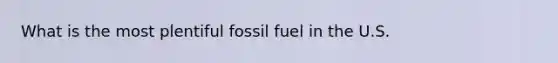 What is the most plentiful fossil fuel in the U.S.