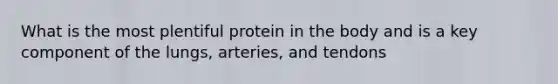 What is the most plentiful protein in the body and is a key component of the lungs, arteries, and tendons