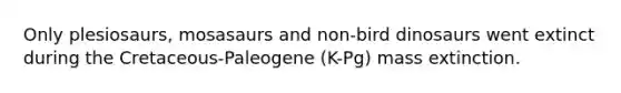 Only plesiosaurs, mosasaurs and non-bird dinosaurs went extinct during the Cretaceous-Paleogene (K-Pg) mass extinction.