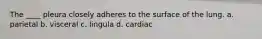 The ____ pleura closely adheres to the surface of the lung. a. parietal b. visceral c. lingula d. cardiac