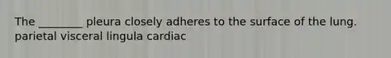 The ________ pleura closely adheres to the surface of the lung. parietal visceral lingula cardiac