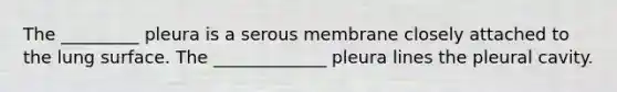 The _________ pleura is a serous membrane closely attached to the lung surface. The _____________ pleura lines the pleural cavity.