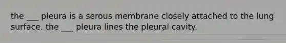 the ___ pleura is a serous membrane closely attached to the lung surface. the ___ pleura lines the pleural cavity.