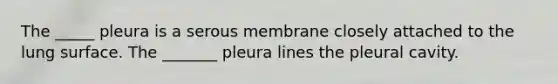 The _____ pleura is a serous membrane closely attached to the lung surface. The _______ pleura lines the pleural cavity.