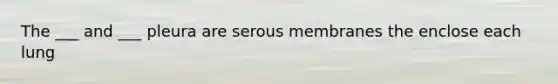 The ___ and ___ pleura are serous membranes the enclose each lung