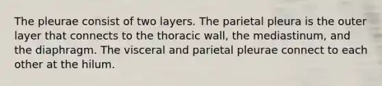 The pleurae consist of two layers. The parietal pleura is the outer layer that connects to the thoracic wall, the mediastinum, and the diaphragm. The visceral and parietal pleurae connect to each other at the hilum.