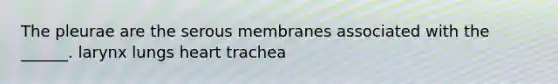 The pleurae are the serous membranes associated with the ______. larynx lungs heart trachea