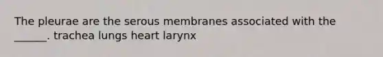 The pleurae are the serous membranes associated with the ______. trachea lungs heart larynx