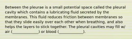 Between the pleurae is a small potential space called the pleural cavity which contains a lubricating fluid secreted by the membranes. This fluid reduces friction between membranes so that they slide easily over each other when breathing, and also helps the layers to stick together. The pleural cavities may fill w/ air (______________) or blood (_____________).