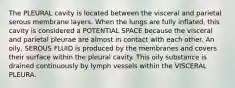 The PLEURAL cavity is located between the visceral and parietal serous membrane layers. When the lungs are fully inflated, this cavity is considered a POTENTIAL SPACE because the visceral and parietal pleurae are almost in contact with each other. An oily, SEROUS FLUID is produced by the membranes and covers their surface within the pleural cavity. This oily substance is drained continuously by lymph vessels within the VISCERAL PLEURA.