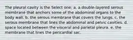 The pleural cavity is the Select one: a. a double-layered serous membrane that anchors some of the abdominal organs to the body wall. b. the serous membrane that covers the lungs. c. the serous membrane that lines the abdominal and pelvic cavities. d. space located between the visceral and parietal pleura. e. the membrane that lines the pericardial sac.