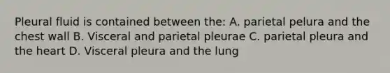 Pleural fluid is contained between the: A. parietal pelura and the chest wall B. Visceral and parietal pleurae C. parietal pleura and the heart D. Visceral pleura and the lung