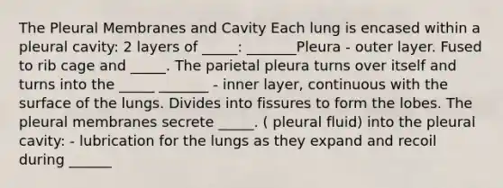 The Pleural Membranes and Cavity Each lung is encased within a pleural cavity: 2 layers of _____: _______Pleura - outer layer. Fused to rib cage and _____. The parietal pleura turns over itself and turns into the _____ _______ - inner layer, continuous with the surface of the lungs. Divides into fissures to form the lobes. The pleural membranes secrete _____. ( pleural fluid) into the pleural cavity: - lubrication for the lungs as they expand and recoil during ______