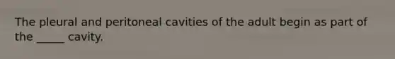 The pleural and peritoneal cavities of the adult begin as part of the _____ cavity.