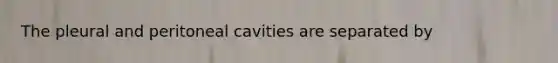 The pleural and peritoneal cavities are separated by