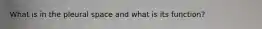 What is in the pleural space and what is its function?