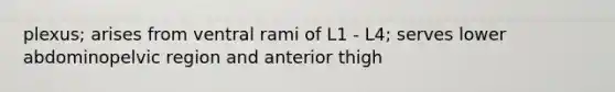 plexus; arises from ventral rami of L1 - L4; serves lower abdominopelvic region and anterior thigh