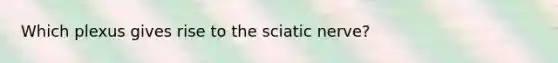 Which plexus gives rise to the sciatic nerve?