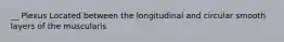 __ Plexus Located between the longitudinal and circular smooth layers of the muscularis