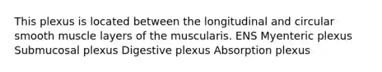 This plexus is located between the longitudinal and circular smooth muscle layers of the muscularis. ENS Myenteric plexus Submucosal plexus Digestive plexus Absorption plexus