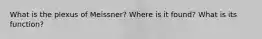 What is the plexus of Meissner? Where is it found? What is its function?