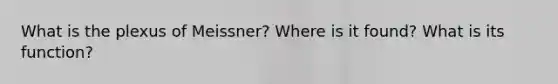 What is the plexus of Meissner? Where is it found? What is its function?