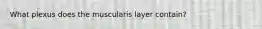 What plexus does the muscularis layer contain?