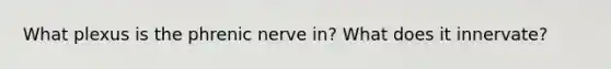 What plexus is the phrenic nerve in? What does it innervate?