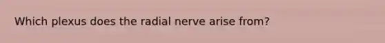 Which plexus does the radial nerve arise from?