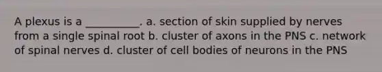 A plexus is a __________. a. section of skin supplied by nerves from a single spinal root b. cluster of axons in the PNS c. network of spinal nerves d. cluster of cell bodies of neurons in the PNS