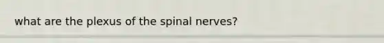 what are the plexus of the spinal nerves?