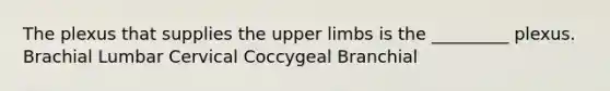 The plexus that supplies the <a href='https://www.questionai.com/knowledge/kJyXBSF4I2-upper-limb' class='anchor-knowledge'>upper limb</a>s is the _________ plexus. Brachial Lumbar Cervical Coccygeal Branchial