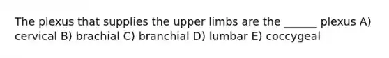 The plexus that supplies the upper limbs are the ______ plexus A) cervical B) brachial C) branchial D) lumbar E) coccygeal