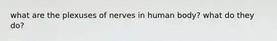 what are the plexuses of nerves in human body? what do they do?