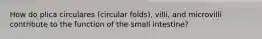 How do plica circulares (circular folds), villi, and microvilli contribute to the function of the small intestine?