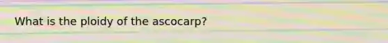 What is the ploidy of the ascocarp?