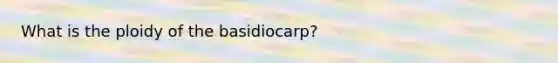 What is the ploidy of the basidiocarp?