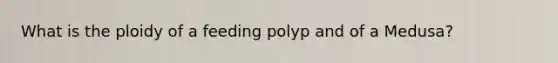 What is the ploidy of a feeding polyp and of a Medusa?