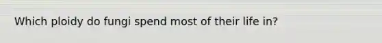 Which ploidy do fungi spend most of their life in?