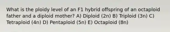 What is the ploidy level of an F1 hybrid offspring of an octaploid father and a diploid mother? A) Diploid (2n) B) Triploid (3n) C) Tetraploid (4n) D) Pentaploid (5n) E) Octaploid (8n)