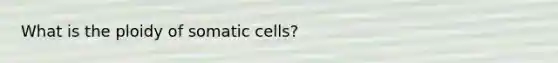 What is the ploidy of somatic cells?