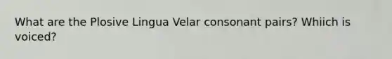 What are the Plosive Lingua Velar consonant pairs? Whiich is voiced?