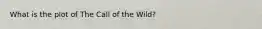 What is the plot of The Call of the Wild?