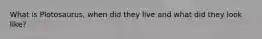 What is Plotosaurus, when did they live and what did they look like?